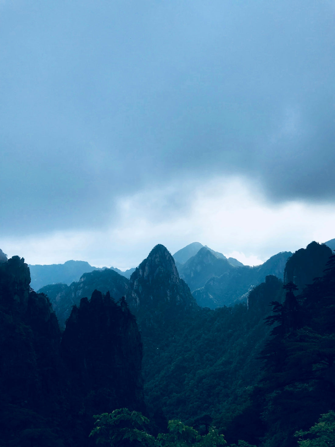 photo of mountains and trees