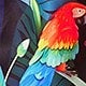 https://img.ltwebstatic.com/images3_pi/2025/01/16/5d/1737006048a2ffd2eb0b206a1ffa064648f764a697.jpg