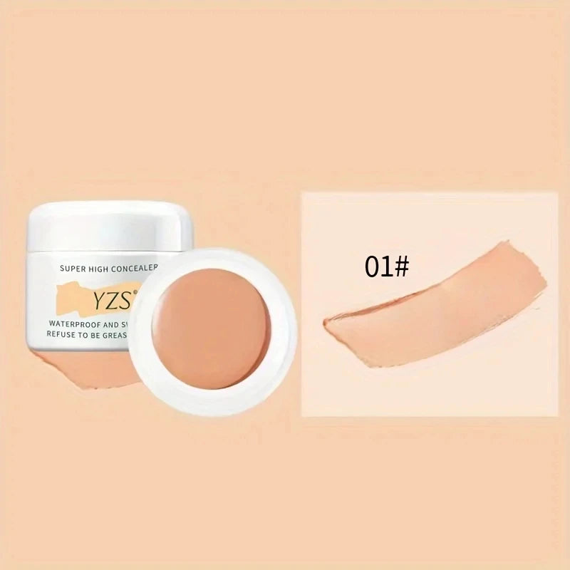 High Definition Concealer Waterproof Full Coverage Concealer For Tattoos Scars Naked beige Natural color