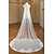 Elegant One-Tier Lace Wedding Veil with Embroidered Appliqués