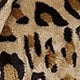 https://img.ltwebstatic.com/v4/j/pi/2025/08/15/ba/1755247942c9dba38a2f64f8e872cb8aa0b5d9bb93.jpg