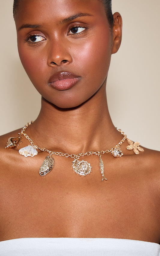 https://cdn-img.prettylittlething.com/2/c/4/b/2c4bb0564e6b29eec3cc6d91353592255b8de858_CNO2975_1_gold_multi_shell_pendant_chain_necklace.jpg