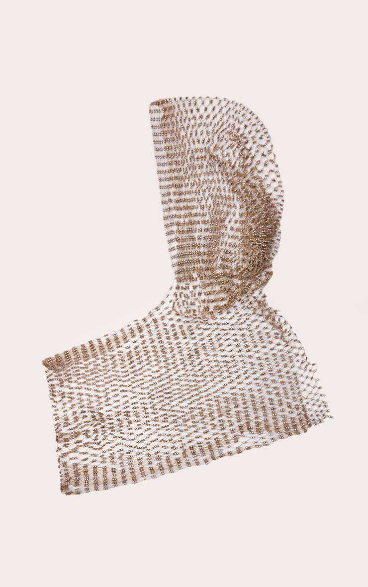 https://cdn-img.prettylittlething.com/5/8/d/f/58dfd9ac37470aabf3efdd2c04d4f4c8b457bb84_CNO5235_2_gold_diamante_fishnet_snood.jpg