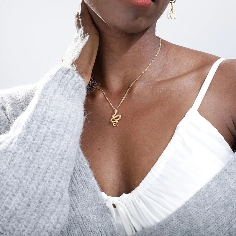 Stainless Steel Snake Necklace Pendant For Women Temperament N01010G / United States SILVER PLATED / United States 