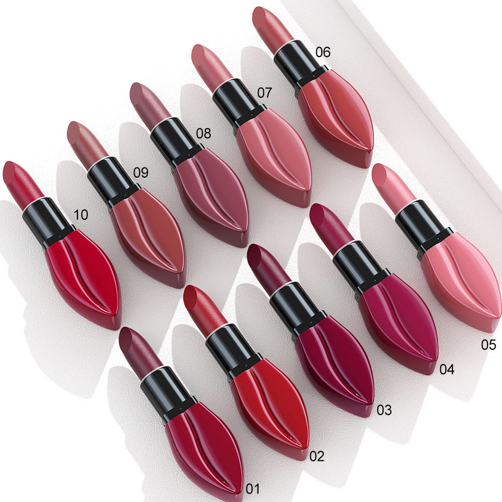 10 Colors Long-Lasting Matte Lipstick Lip Stick with Rich Velvet Color and Waterproof Formula