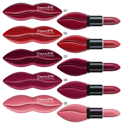 10 Colors Long-Lasting Matte Lipstick Lip Stick with Rich Velvet Color and Waterproof Formula