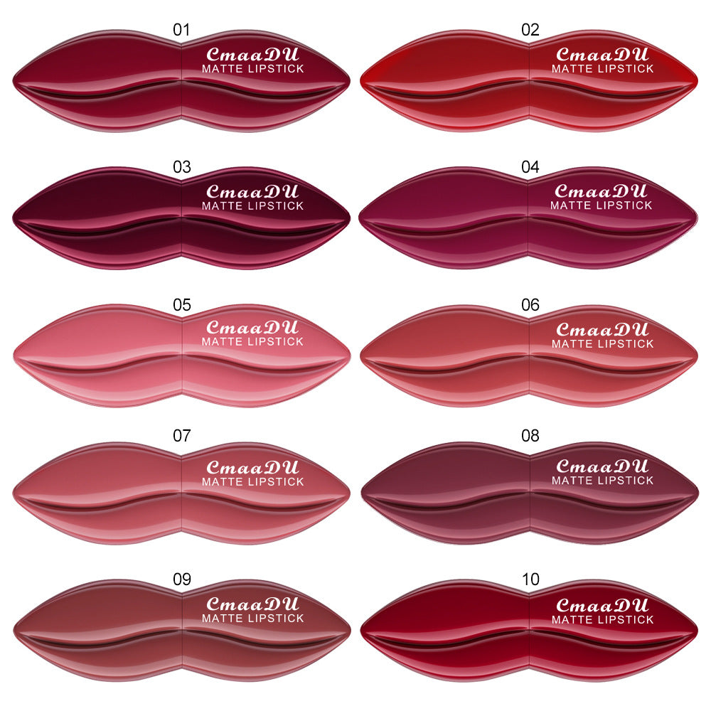 10 Colors Long-Lasting Matte Lipstick Lip Stick with Rich Velvet Color and Waterproof Formula