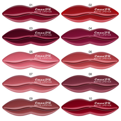 10 Colors Long-Lasting Matte Lipstick Lip Stick with Rich Velvet Color and Waterproof Formula