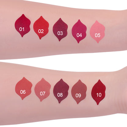 10 Colors Long-Lasting Matte Lipstick Lip Stick with Rich Velvet Color and Waterproof Formula