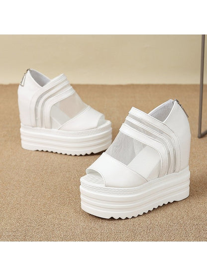 https://imgs3.wholesale7.net/jxc/images/202501/02/goods_img/_P_20250102105214231_933.jpeg