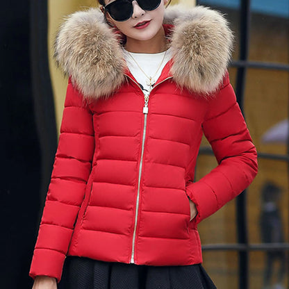 New Autumn Winter Jacket Womens Parkas Fur Collar Hooded Coats Casual Short Jacket Female Slim Cotton Padded Warm Outerwear
