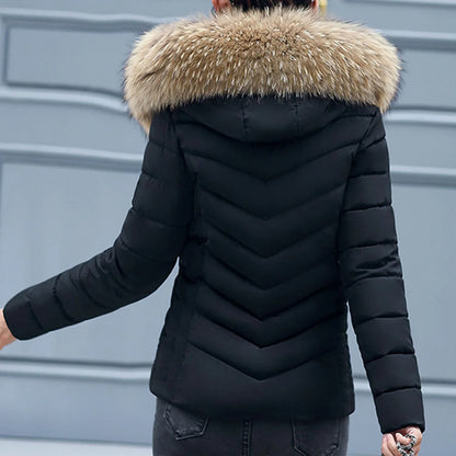 New Autumn Winter Jacket Womens Parkas Fur Collar Hooded Coats Casual Short Jacket Female Slim Cotton Padded Warm Outerwear