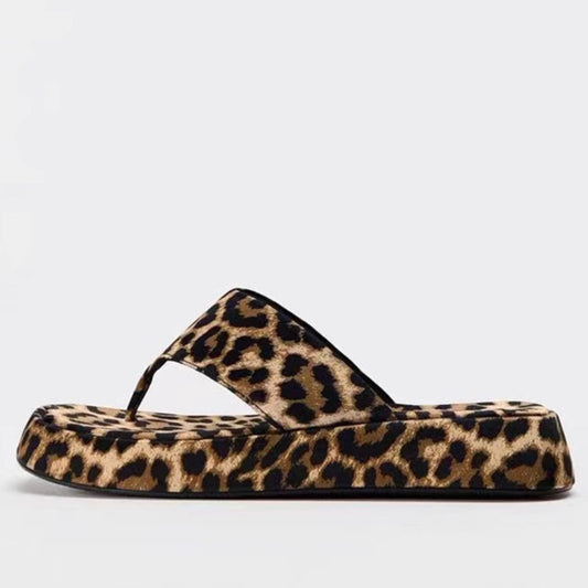 Leopard Toe Post Sandals Leopard / 35(US4) Leopard / 36(US5) Leopard / 37(US6) Leopard / 35(US4)-Leopard / 36(US5)-Leopard / 37(US6)-Leopard / 38(US7)-Leopard / 39(US8)-Leopard / 40(US9)-Leopard / 41(US10)-Leopard / 42(US10.5)-